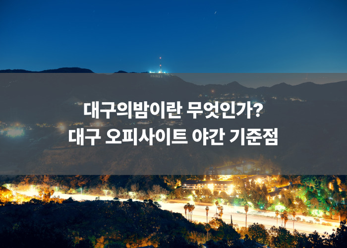 대구의밤이란 무엇인가?